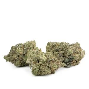 Gator-Breath-Strain-300x300-1.webp Gator Breath Strain