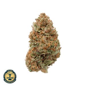 Hawaiian-Haze-CBD-Flower-Cup-Winner-300x300-1.jpeg Hawaiian Haze CBD Flower