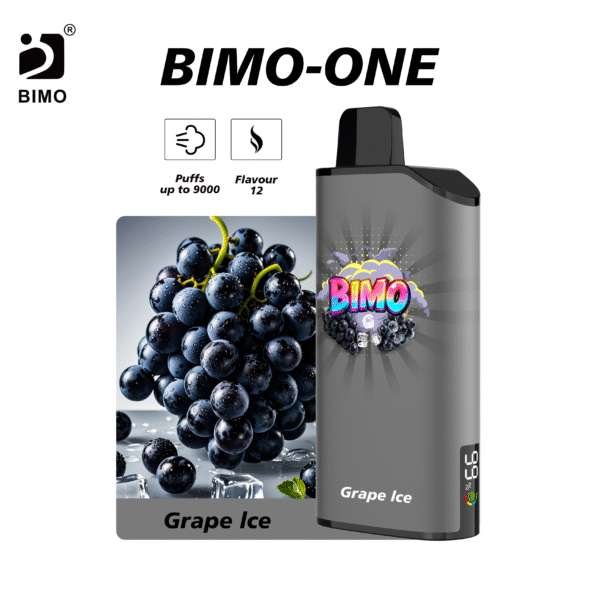 Bimo-one-9000-Grape-lce.jpg Bimo ONE 9000-Grape-lce